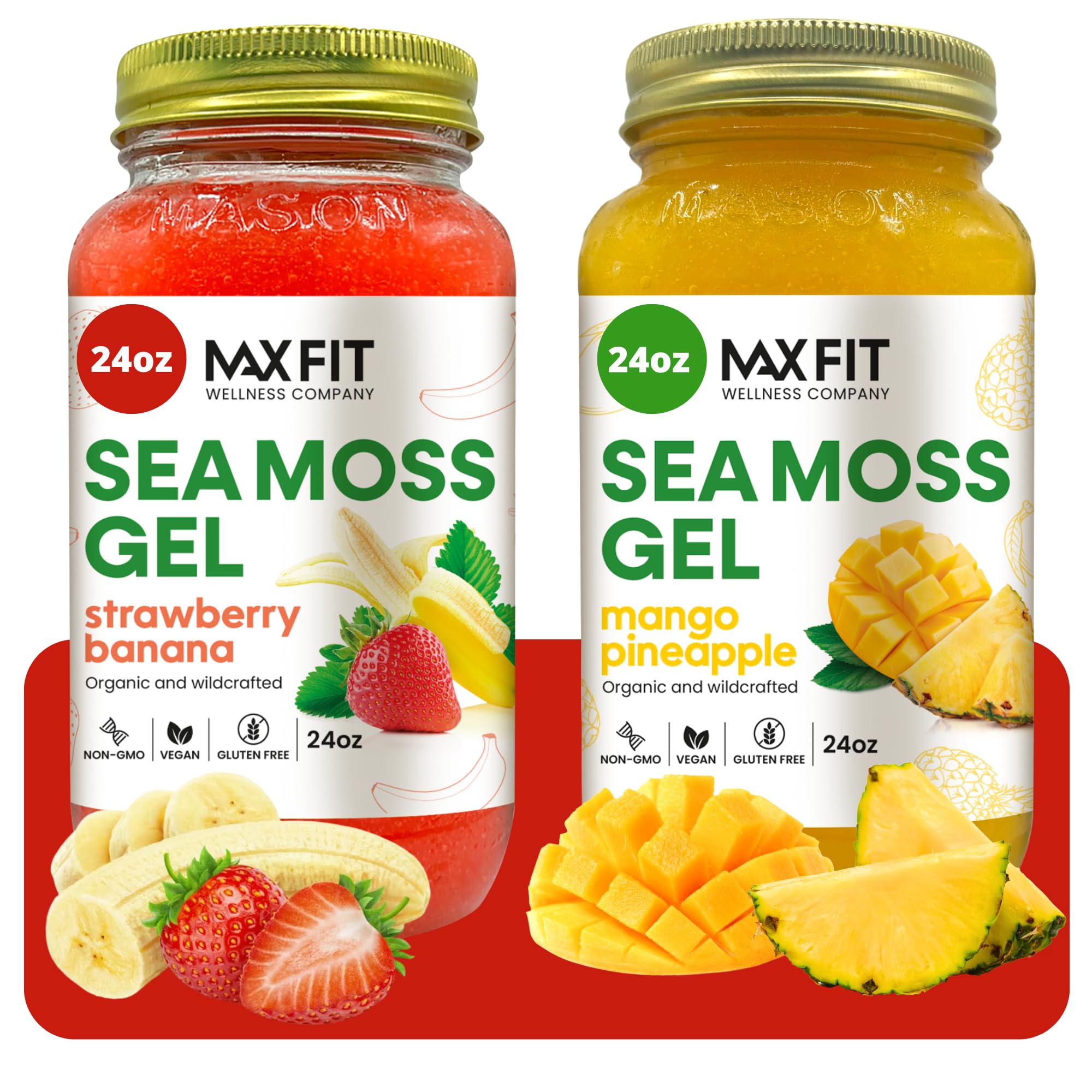 Amazon.com: Sea Moss Gel Organic Raw (Bundle of 2 Jars 24oz